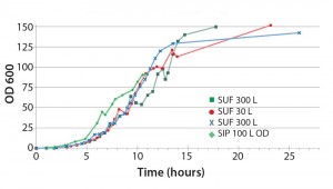 Figure 3: The 30- and 300-L single-use fermentor (SUF) performed comparable to the steam-in-place (SIP) 100-L fermentor; Escherichia coli BL21 DE3 cell density comparison (OD = optical density) 