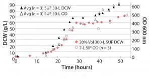 Figure 4: The 30 L and 300 L (at 20% volume) SUFs performed comparable to the SIP 7-L fermentor; Pichia pastoris GS115, 22 kDa protein; average comparison 640 OD600 nm, DCW 91.6 g/L (n =3); DCW= dry cell weight, OD = dry cell weight 