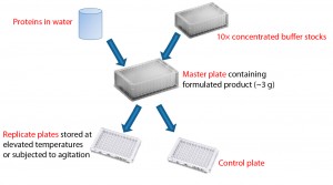 Figure 1: Formulation of proteins using concentrated buffer stocks; protein that has been dialyzed into water is mixed with a concentrated buffer to create a master plate with the desired formulation conditions. Replicate plates created from the master plate allow comparison of stability to different stress conditions using identical formulations. 