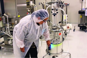 Photo 2: A student from observes the purification of green fluorescent protein from clarified lysate using anion-exchange chromatography as part of the Downstream Bioprocessing course.