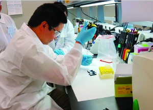 Photo 3: A student loads a sample into a microchip for analysis by electrophoresis in the QC/Analytical course.