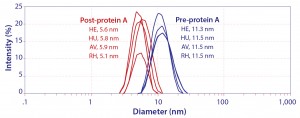 Figure 2: Hydrodynamic diameter of IgG by dynamic light scattering; HE, HU, and AV are prospective biosimilars for Herceptin, Humira, and Avastin. RH is a noncommercial IgG1 monoclonal antibody. 