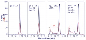 Figure 13: Promotion of aggregate formation by DNA in contact with IgG at pH 3.5 