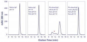 Figure 5: Elevated vulnerability of protein A–eluted IgG to aggregation by exposure to pH 3.0 