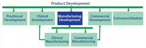 Figure 4: Although the scope of a strategic commercial manufacturing plan is focused on manufacturing development, the plan must be crafted and executed in the context of all the other elements of product development