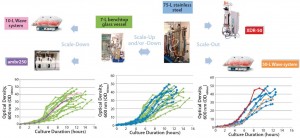 Figure 2: Scalability assessment of single-use systems tested against batch data from traditional 7-L bench-top glass and 75-L stainless steel vessels; graphs show growth profiles of E. coli DH1 represented as optical density at 600 nm (OD600nm) producing a range of different plasmid DNA sizes (2.5–12 kb) in five different systems at different scales.