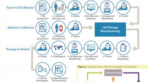 Figure 1: Logistics complexity of an autologous cell therapy