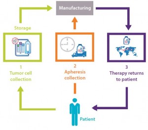 Figure 2: Typical process chain for autologous cell therapies