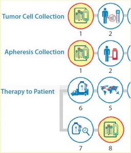 Figure 3: Logistics complexity of an autologous cell therapy (detail) — standardization