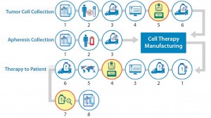 Figure 7: Logistics complexity of an autologous cell therapy — storage equipment validation