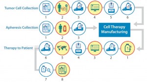 Figure 8:  Logistics complexity of an autologous cell therapy — process qualification