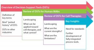 Figure 1: Summary of discussion 