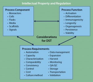 Figure 3: Framework for DST approaches to cell therapy; literature review and analysis of existing tools revealed three core areas for DST consideration: process components, process functions, and process requirements. Despite considerable cross-talk among those areas, overarching considerations of intellectual property and regulation can be applied to complement any DST. At present, no such DST exists for cell therapies. 