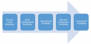 Figure 1: Flexibility continuum 