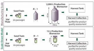 Figure 2: Approach followed for developing and qualifying a 12-L scale-down model 