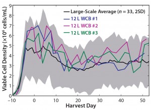 Figure 9: Viable cell density (VCD) profiles for the large-scale average (n = 33), 12-L working cell bank (WCB) #1, 12-L WCB #2, and 12-L WCB #3; shaded area for the large-scale average represents two standard deviations from the mean. 