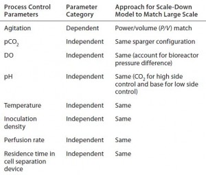 Table 1: Summary of scale-dependent and scale-independent parameters considered during development of the 12-L scale-down model 