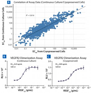 Figure 3: Comparing results for assays run with cells in continuous culture and cryopreserved ready-to-assay cells; (a) correlation of calculated EC50 from 842 cell-based assays using cells in continuous culture (y axis) and cryopreserved ready-to-assay format (x axis); a line of best fit includes an R2 value. To compare VEGFR2 assay conducted on cells in continuous culture (b) and cryopreserved ready-to-assay cells (c), cultured cells were lifted and plated with ligand for 16 h, then incubated with detection reagent; cryopreserved ready-to-assay cells were directly plated with ligand for 16 h before addition of detection reagent. 