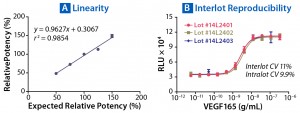 Figure 5: Parallelism and relative potency of a reference standard can be measured with PathHunter assays (see Table 1). (A) Measured relative potencies are plotted against expected relative potencies. The assay performed with high degrees of accuracy, precision, and linearity. (B) Variation in EC50 of VEGF165 was determined from three independently manufactured VEGFR2 bioassay lots. Excellent reproducibility is observed both within individual lots and among lots, with CVs <11%. 