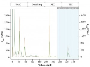 Figure 6: Automated Multi-D IMAC purification method; clarified GFPsf lysate (2 mL) was loaded onto a 5-mL Nuvia IMAC column using the sample pump. The column was washed with 10%B to remove contaminant proteins before step-elution from the column and storage in a 10-mL static loop. The target protein was loaded from the loop onto the 50-mL P-6 desalting column to remove the imidazole and lower the ionic strength of the buffer, then eluted isocratically and collected into a 20 ml static loop. The 20-mL protein sample was loaded onto a 1-mL ENrich Q column and eluted with a linear gradient. Using threshold collection, the eluate was shuttled into a 5-mL static loop, loaded onto a 120-mLl HiPrep Sephacryl S-300 HR column in a single injection, and eluted isocratically in 5-mL fractions. 