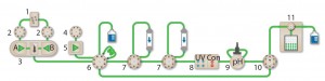 Figure 1: The NGC Discover 10 Pro system with an additional column switching valve illustrates the connectivity between modules used: components are 1 = buffer blending valve, 2 = buffer inlet valves, 3 = system pumps, 4 = sample inlet valve, 5 = sample pump, 6 = sample injection valve, 7 = column switching valves, 8 = multiwavelength detector with integrated conductivity monitor, 9 = pH module, 10 = outlet valve, 11 = BioFrac fraction collector. 