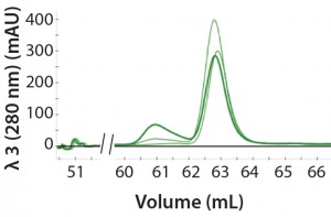 Figure 2: An overlay of three different samples on the SEC column containing three amounts of aggregation (0%, 10%, and 25%); peak height at 61 mL represents the degree of aggregation in the different samples. 