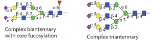 Table 1 Endo H and Endo F1: Substrate specificity of commercially available endoglycosidases ([purple diamond] sialic acid, [yellow circle] galactose, [green circle] mannose, [royal blue square] GlcNAc, [red triangle] fucose)