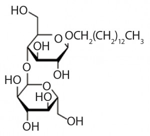 Figure 1: Structure of n-tetradecyl-beta-d- maltoside , the alkyl glucoside comprised of maltose and tetradecanol joined by a glycosidic bond 