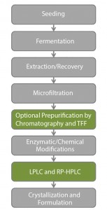 Figure 1: Industrial steps for insulin production