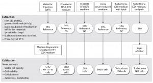 Figure 1: Test procedure flow chart 