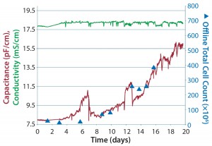 Figure 7: Disposable biomass probe measuring mesenchymal stem cells (MSCs) grown in a SCINUS bioreactor system from Xpand Biotechnology BV 