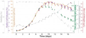 Figure 3: Online biomass measurement and offline reference for Chinese hamster ovary (CHO) cells in fed-batch cultivation with a single-use BioPAT ViaMass sensor disc at the 50-L scale (courtesy of S. Ruhl and J. Scholz at Sartorius Stedim Biotech) 