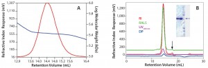 Figure 3: Data measured to determine detergent dn/dc and micelle properties; results show a good fit with micelle calculation errors <3% (2). 