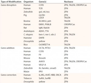 Table 1: Abbreviated list of examples of ZFN-, TALEN-, and CRISPR/Cas-mediated genome editing in human cells and model organisms; references for each available in cited source (11) 