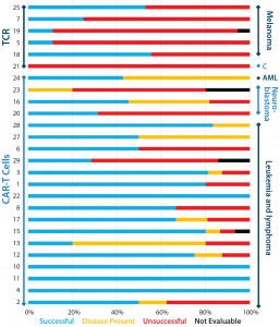 Figure 3: Clinical outcomes of patients after TCR or CAR-T cell therapy; successful outcomes are complete remission, partial remission, or negative for minimal residual disease (MRD); “disease present” means stable disease or MRD positive; unsuccessful outcomes include progressive disease, end of remission, and death. Outcomes for all papers (cited from the CAR-T and TCR box) with reported clinical outcomes are categorized by therapy type (bars on left axis) and cancer type (bars on right axis). 