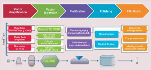 Figure 4: Overview of a typical viral-vector manufacturing process 