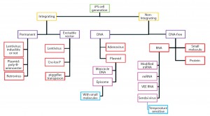 Figure 6: Delivery methods and technologies for iPSC manufacturing (29) 