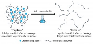 Figure 1: QuickGel hydrogel platform