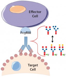 Schematic_ADCC