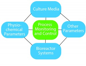 Figure 1: Essential components of process optimization 