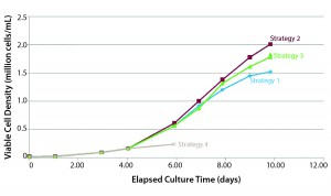 Figure 2: Cell yield dependence on medium feeding strategy (Example 1) 