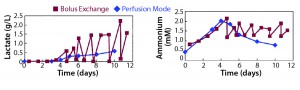 Figure 3: Requirement of optimal medium feeding (Example 1) 