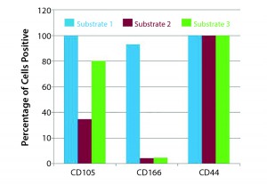 Figure 4: Effect of substrate on hMSC phenotype (Example 2) 