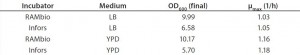 Table 2: Optical density and µmax of E. coli BL21 cultures 