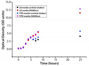 Figure 1: Arithmetic average of optical density (OD) as a function of culture time for Pichia pastoris pink in different shake-flask cultures 