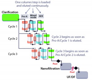 Figure 1b: Accelerated seamless antibody purification (ASAP) concept 