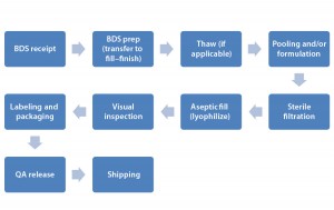 Figure 1: Schematic of drug product (fill–finish) manufacturing 