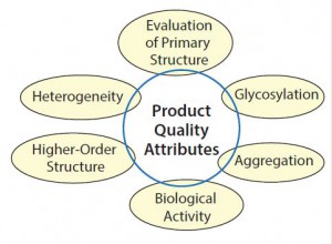 Figure 2: Main types of analytical and functional characterization