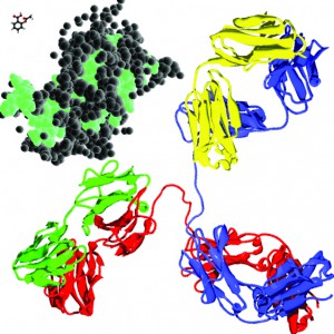 In perspective: aspirin (upper left, front), somatropin (middle molecule), and an antibody (lower right, back) — to approximate scale — molecular models from Wikicommons 