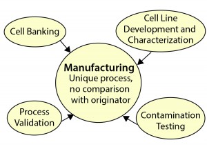 Figure 3: Biosimilar manufacturing support requirements 